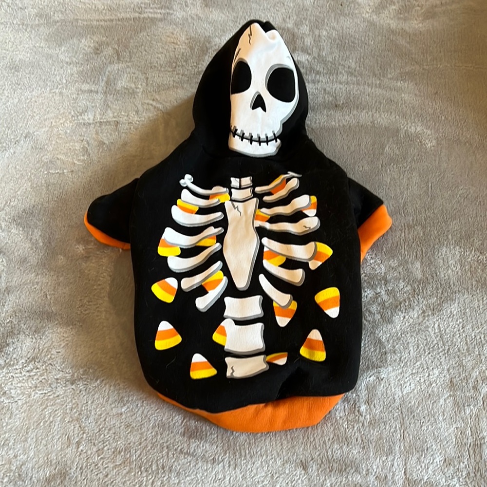 Pet costume